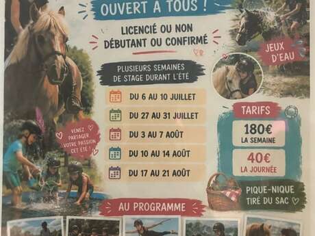 Stage d'équitation