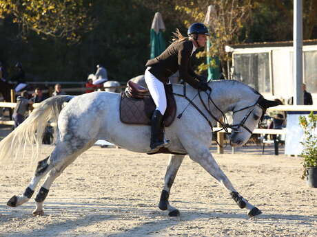 Écurie les 3 Chênes