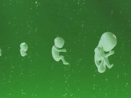 Créatures de substitution