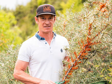 David Viveau - Sea buckthorn producer