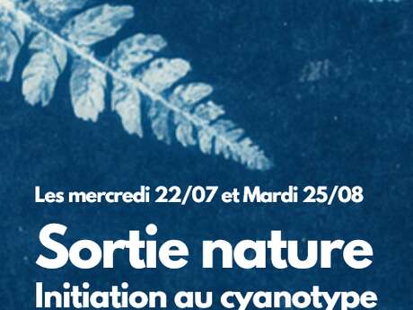 Atelier Nature Initiation au Cyanotype au lac de l'Uby de Cazaubon