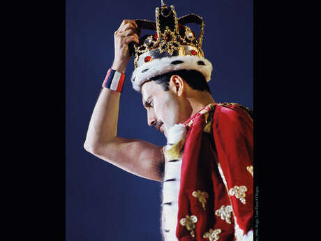 Ausstellung: Freddie Mercury, sag niemals Lebewohl