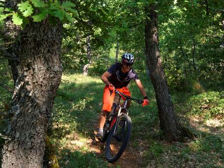 Site VTT FFC - Provence Verdon - Circuit 06 -  Bleu