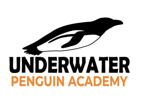 Underwater Penguin Academy