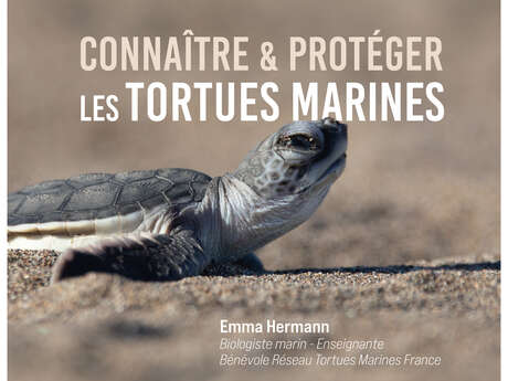 Conférence : Connaître et protéger les tortues marines