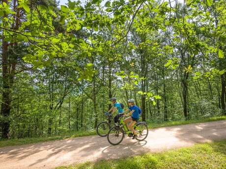 Around Lake Serre-Ponçon - Gravel