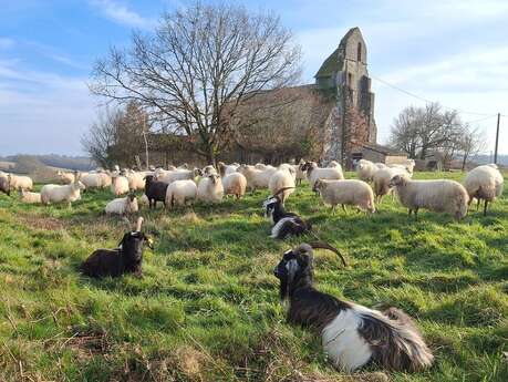 La l'Uby des Moutons