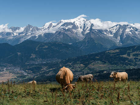 Boucle pédestre des Bénés