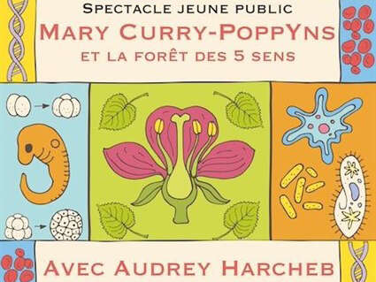 Mary Curry-Poppyns et la forêt des 5 sens