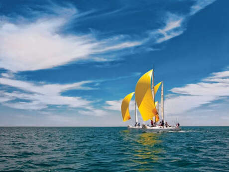 Afternoon sailing trip in coves of Frioul Islands