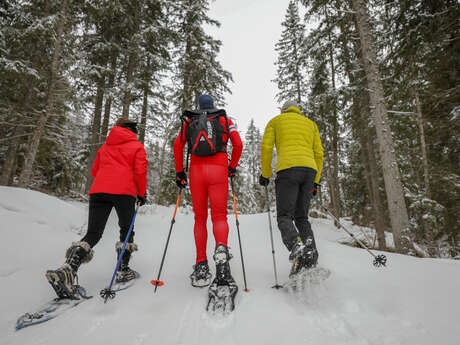 Sortie raquettes à neige