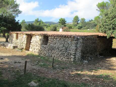 Journée randonnée du côté de Cuges-les-Pins "Sainte Baume - Le tour des Jas"