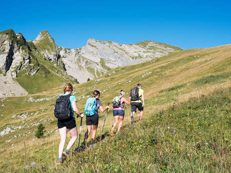 Trekking with a mountain guide