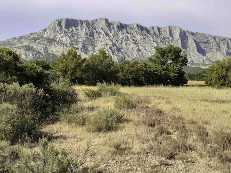 Inventaire photographique des papillons de nuit à Maurély