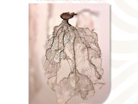 Exposition Valerie Leydet Exposition Valerie Leydet