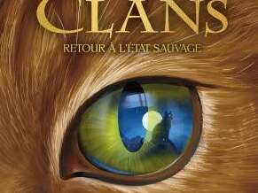 Escape game : La guerre des clans