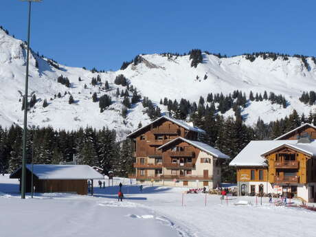 Les Marmottes - 35 m² - n°600