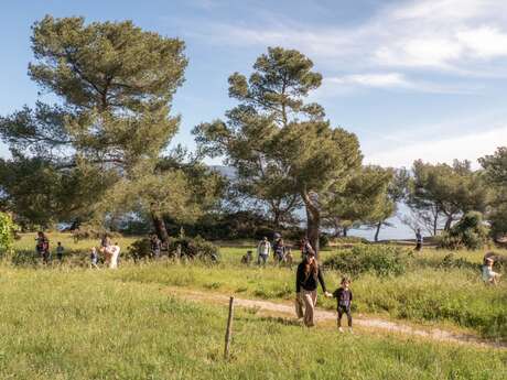 Chasse aux oeufs sur l'île des Embiez