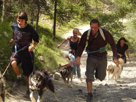 La Cani-rando - Chiens de traineaux Allirand