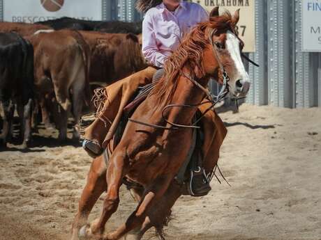 Concours Equitation Western