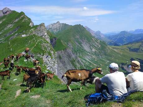 Wandern : le Mont Charvin 2409m