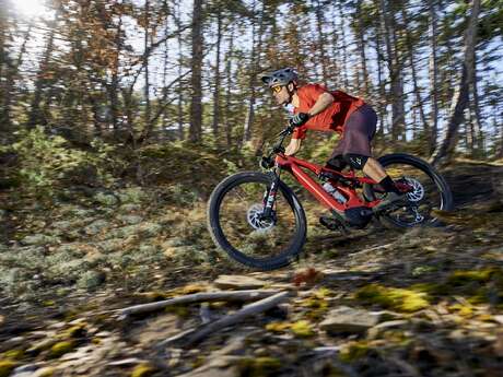 VTT n°3 - Le Grognard