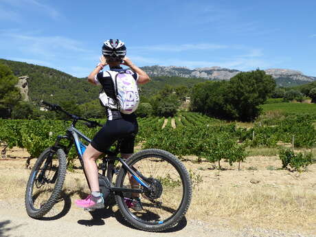 Caromb, Le Barroux, l'eau dans tous ses états : Balade accompagnée à vélo