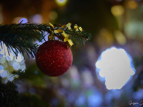 Lancement des illuminations de Noël