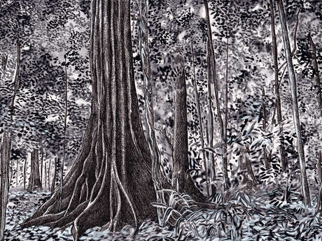 Rencontre avec Cécile Palusinski et Elsa Mroziewicz