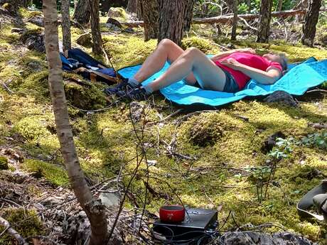 La forêt Arc-en-Ciel