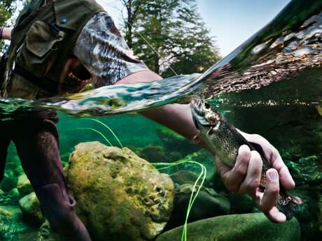 Parcours pêche "Le Chéran" - Boussy