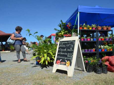 Moindou market