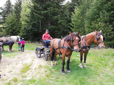Balade en calèche à La Chartreuse