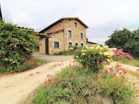 Gîte des Pampilles