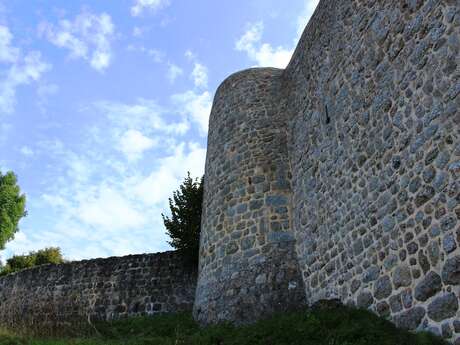 Vestiges du château fort de Leignecq