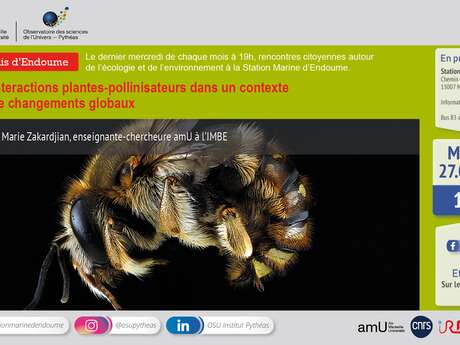 Interactions plantes-pollinisateurs dans un contexte de changements globaux