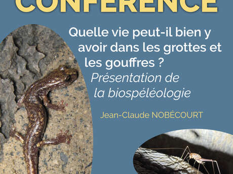 Conférence "Quelle vie peut-il bien y  avoir dans les grottes et les gouffres"