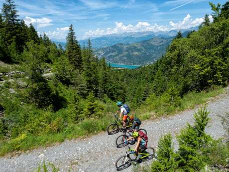 VTT n°1 - Saint-Vincent-les-Forts