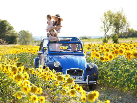 Découverte du Luberon en 2cv  à la journée avec Oh My Deuche
