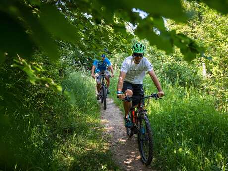 Sambuy Express - Itinéraire vtt et Cross-country n°6