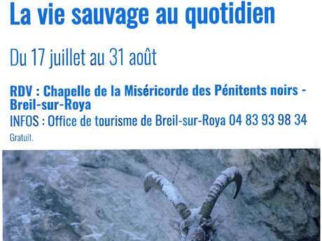 Exposition "La vie sauvage au quotidien"