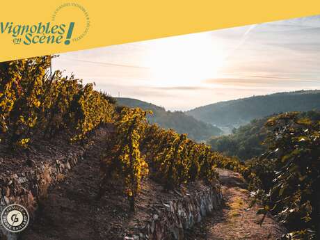 Rando Wine au Domaine Gaillard