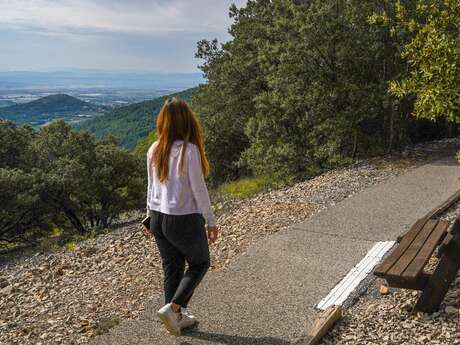Itinéraire pédestre "Les chemins de Bellevue"