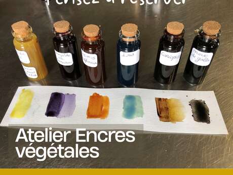 Atelier encres végétales