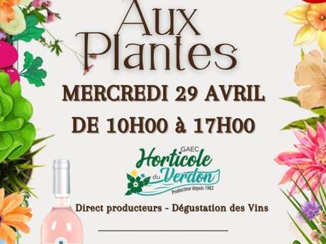 Marché aux plantes, atelier vannerie et dégustation des vins