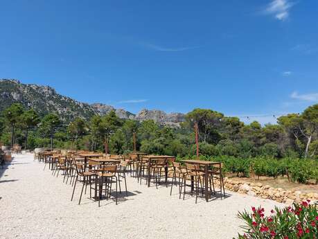 La Verticale de Coyeux