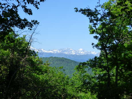 Le chemin de pierre