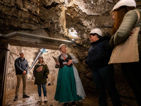 Visite thématique - Abri antiaérien Nézin - Albert Perriol