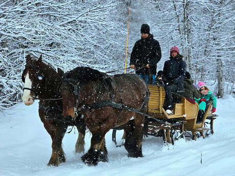 Provence Equiservices