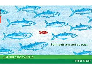 Petit poisson voit du pays